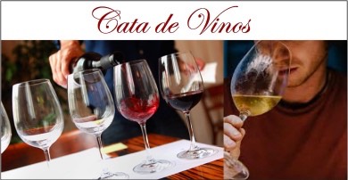 cata de vinos